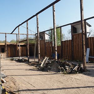 Future scavenger aviary construction, 2025-04-12