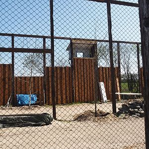 Future scavenger aviary construction, 2025-04-12