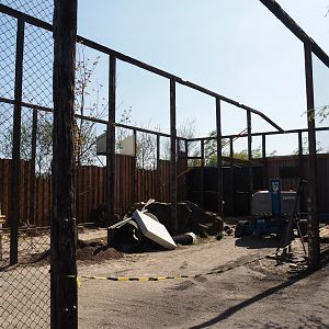 Future scavenger aviary construction, 2025-04-12