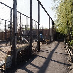 Future scavenger aviary construction, 2025-04-12