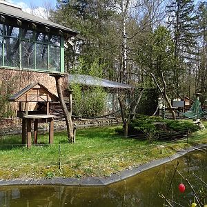 Red-bellied lemur enclosure