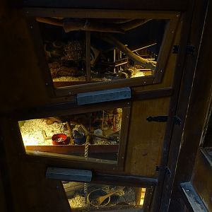 Fancy mouse enclosure