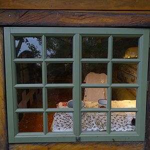 Fancy mouse enclosure