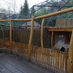 Guinea pig enclosure