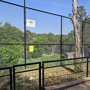 Vacant - former Bengal tiger #2