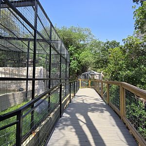 New walkway along black bear