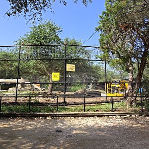 Vacant - former cheetah