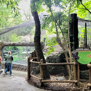 May. 2025 - Jungle Trails - NEW! Monkey Exhibit