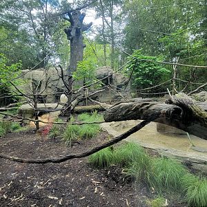 May. 2025 - Jungle Trails - NEW! Monkey Exhibit