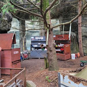 May. 2025 - Future Black Bear Ridge & Sea Otter Coast