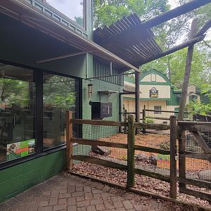 May. 2025 - Children's Zoo - Radiated Tortoise & Red-footed Tortoise Exhibit (Former Bearcat)