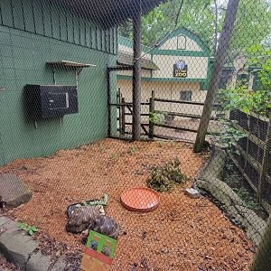 May. 2025 - Children's Zoo - Radiated Tortoise & Red-footed Tortoise Exhibit (Former Bearcat)