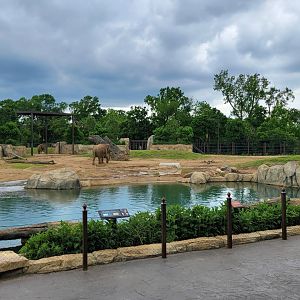 May. 2025 - NEW! Elephant Trek - Main Elephant Yard