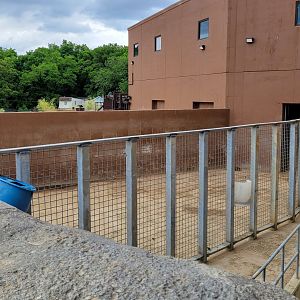 May. 2025 - NEW! Elephant Trek - Transfer Yard