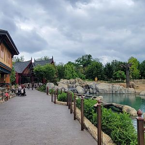 May. 2025 - NEW! Elephant Trek - Main Yard Viewing