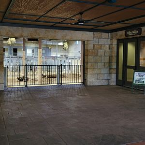 May. 2025 - NEW! Elephant Trek - Elephant Center (View from Outside)