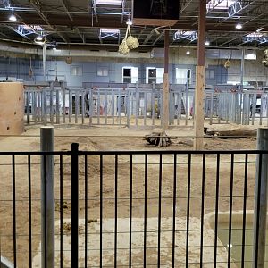 May. 2025 - NEW! Elephant Trek - Elephant Center (View from Outside)