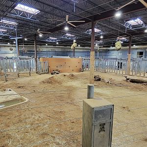 May. 2025 - NEW! Elephant Trek - Elephant Center