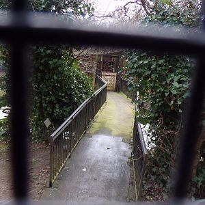Former bridge through bird aviary 1.3.25