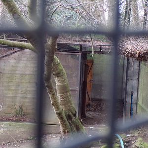 Pelican housing 1.3.25