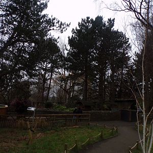 View towards red panda enclosure 1.3.25