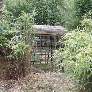 What is this cage for? 1.3.25