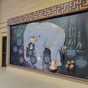 May. 2025 - NEW! Elephant Trek - Elephant Center