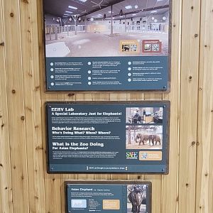 May. 2025 - NEW! Elephant Trek - Elephant Center