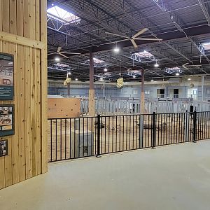 May. 2025 - NEW! Elephant Trek - Elephant Center