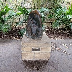 May. 2025 - NEW! Elephant Trek