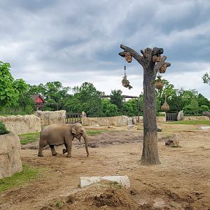 May. 2025 - Elephant Trek - Main Elephant Yard