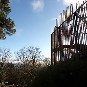 Tiger enclosure and view 1.3.25