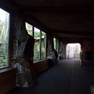 Old tiger viewing area 1.3.25