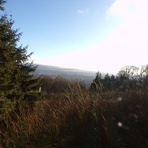 View from boardwalk 1.3.25