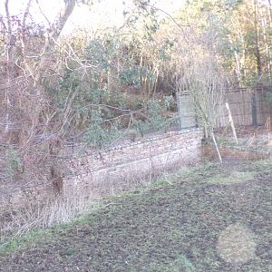 Old wall in zebra enclosure 1.3.25