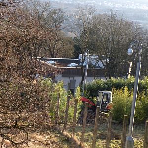 Development on future sloth bear enclosure 1.3.25