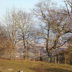 View of Edinburgh from African Plains 1.3.25