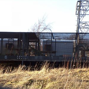 Quarantine enclosures holding the lynxes 1.3.25