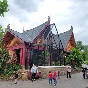 May. 2025 - NEW! Elephant Trek - Vietnam Pheasant & Azure-winged Magpie Exhibit