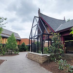 May. 2025 - NEW! Elephant Trek - Vietnam Pheasant & Azure-winged Magpie Exhibit