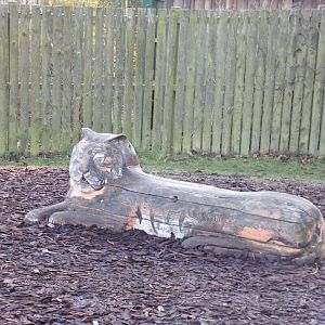 Tiger bench in poor state 1.3.25