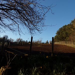 Work on przewalskis horse enclosure 1.3.25