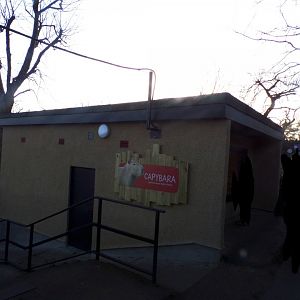 New capybara house 1.3.25