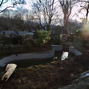 Newly done capybara pool 1.3.25