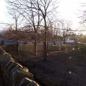 Capybara enclosure 1.3.25