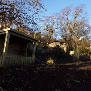 Capybara enclosure 1.3.25