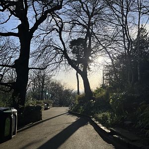 View alongside the tiger enclosure 1.3.25