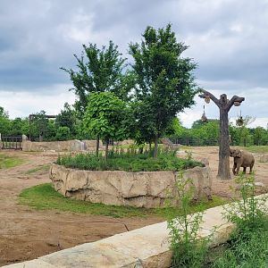 May. 2025 - Elephant Trek - Main Elephant Yard