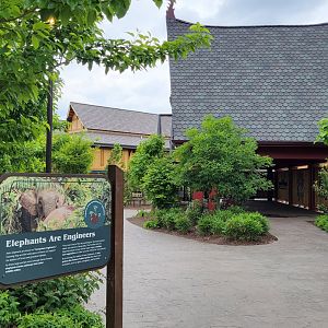 May. 2025 - NEW! Elephant Trek