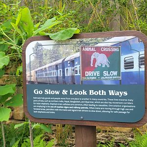 May. 2025 - NEW! Elephant Trek